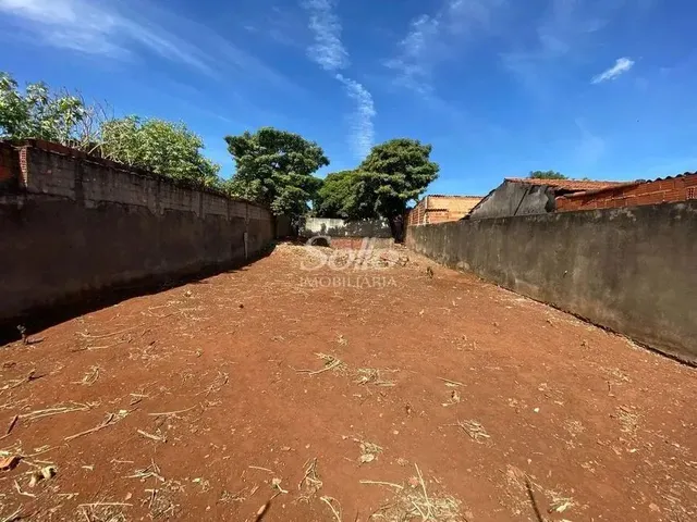 Imagem 2: Venda Terreno Osvaldo Rezende