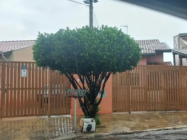 Imagem: Venda Casa