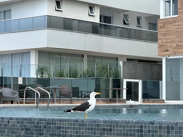 Imagem: Apartamento Espelho das Águas