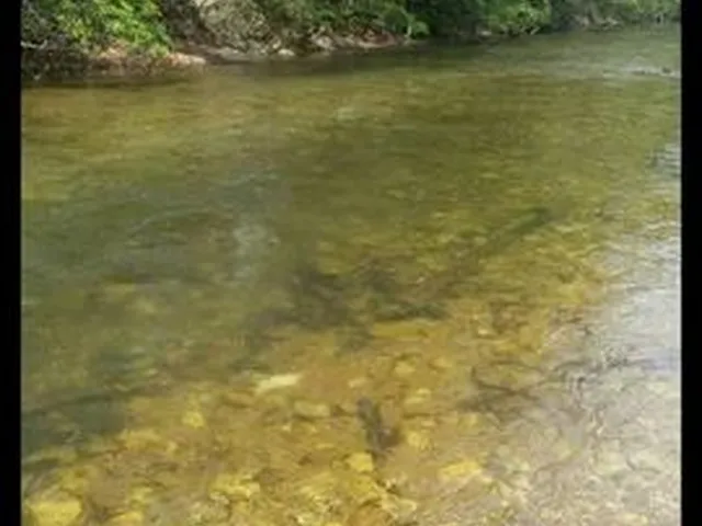 Imagem 9: Locação Chacara Coxipo do Ouro
