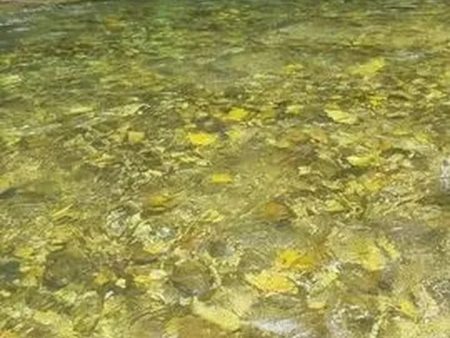 Imagem 2: Locação Chacara Coxipo do Ouro