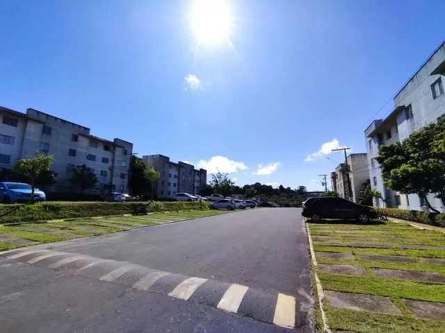 Imagem 4: /Alpinia - Atrás da Bemol da Torquato