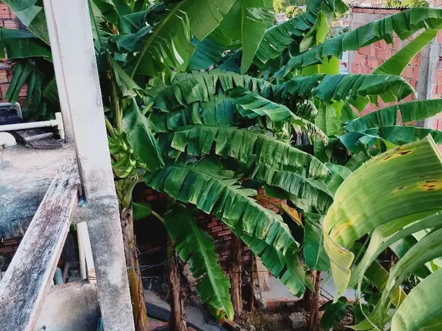 Imagem 6: Vendo Casa Parque São Pedro Tarumã