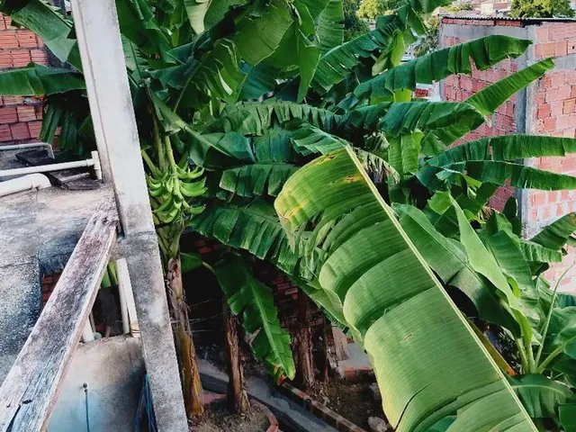 Imagem 7: Vendo Casa Parque São Pedro Tarumã