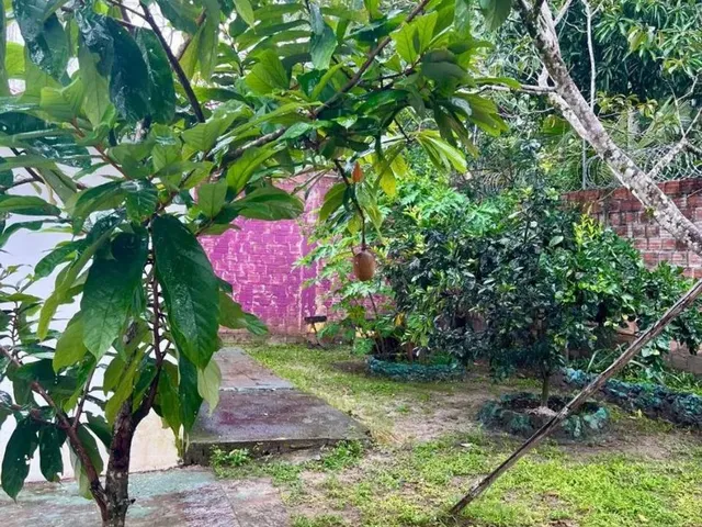 Imagem 16: Casa Em. Mosqueiro No. Murubira