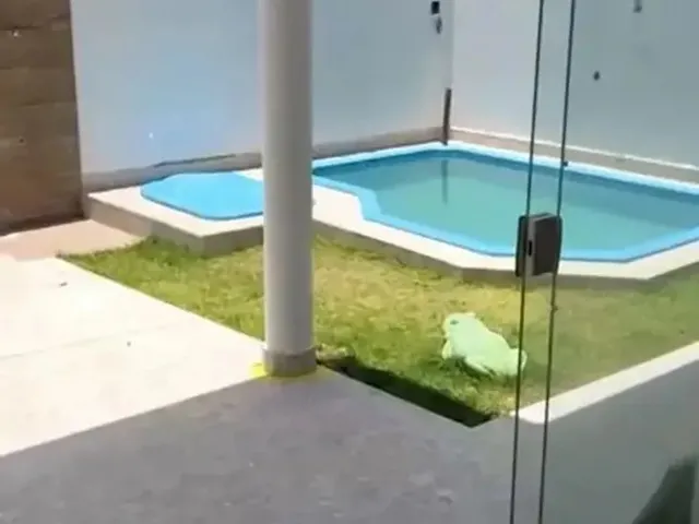 Imagem 10: Casa À Venda em Rua Pública, Loteamento Trevo do Frances, Marechal Deodoro, Al