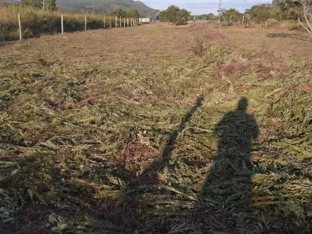 Imagem: Vende-Se Um Terreno no Tepequem