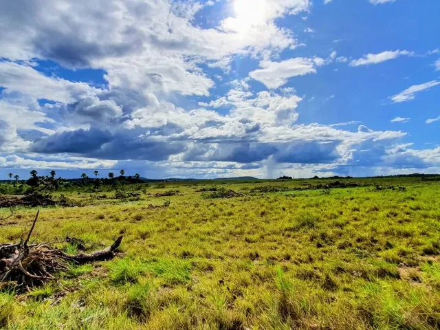 Imagem: Fazenda para Arrendamento