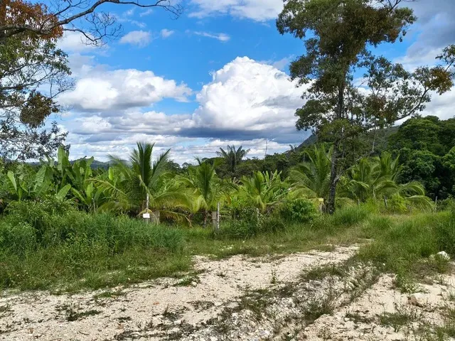 Imagem: Imóvel para Venda Tem 12000 Metros Quadrados
