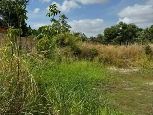 Imagem: Terrenos Parcelados no Operario