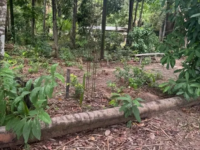 Imagem: Chacaras Parceladas na Serra Grande 1 Cantá