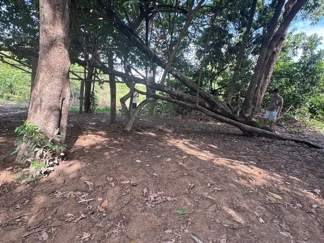 Imagem 11: Chacaras Parceladas na Serra Grande 1 Cantá