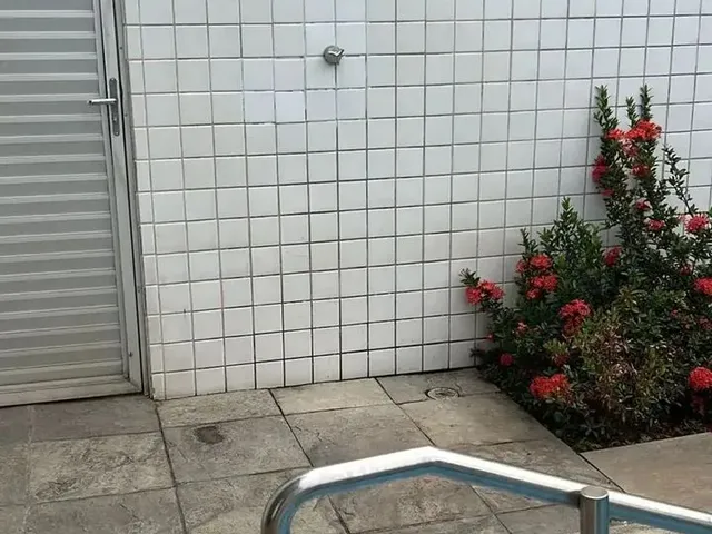 Imagem 6: Apartamento para Vender e Alugar no Shoping Parque, Boa Viagem, Recife, Pe