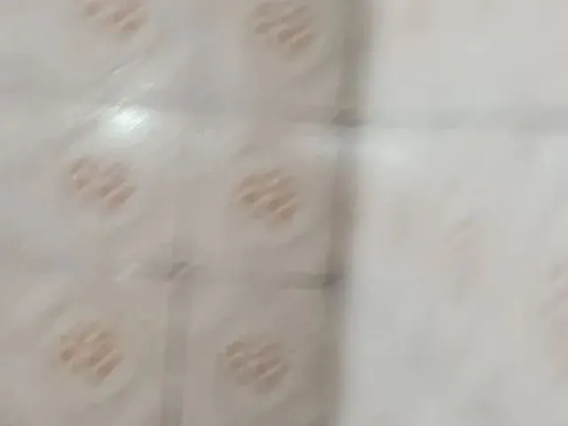 Imagem 9: Alugo Casa Térreo com Garagem