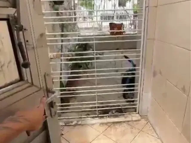 Imagem: Casa para Alugar no Ipsep - Vila da Sudene