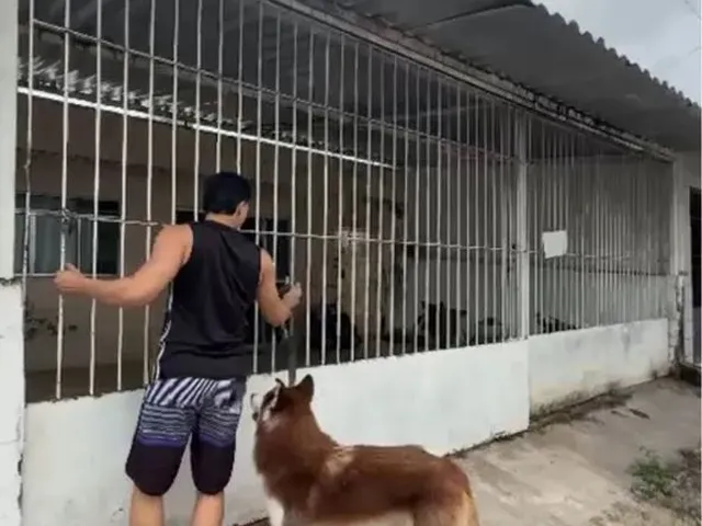 Imagem 10: Casa para Alugar no Ipsep - Vila da Sudene