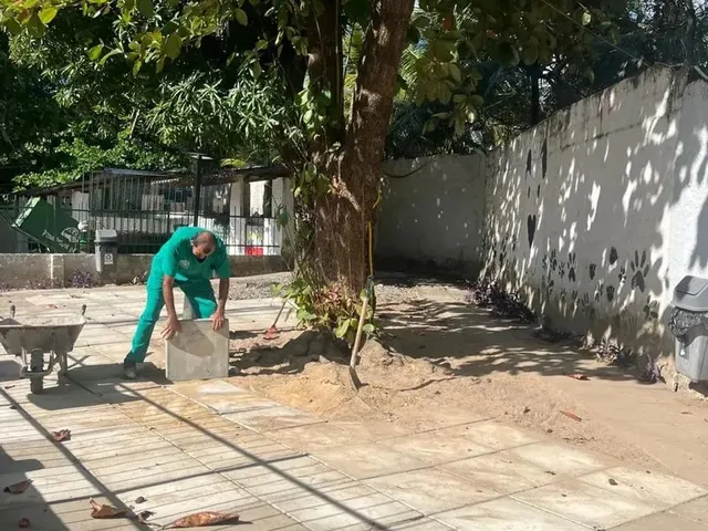 Imagem 11: Imóvel para Aluguel Tem 70 Metros Quadrados com 3 Quartos em Torre - Recife - Pe