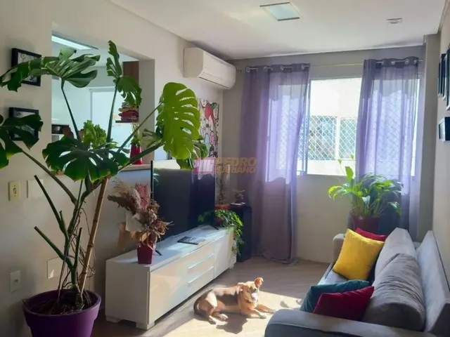 Imagem: Apartamento no Bairro Rudge Ramos em São