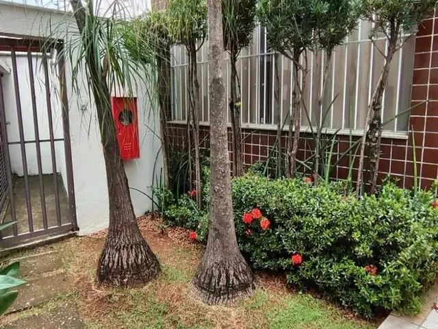 Imagem 15: Apartamento com 2 Quartos para Alugar em Contagem