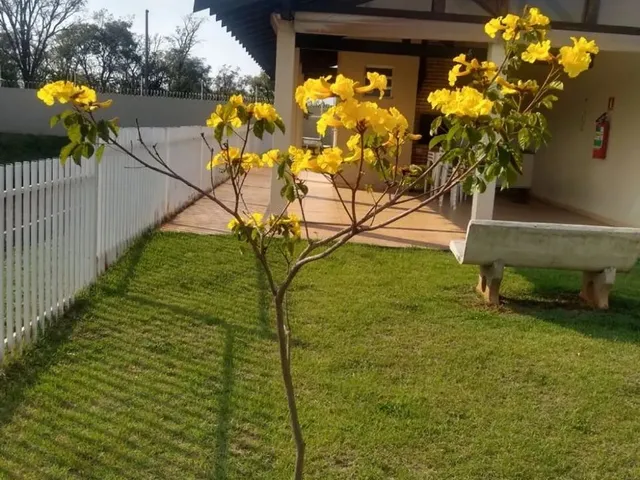 Imagem 2: Apartamento Semimobiliado. Próx Av 3 Barras