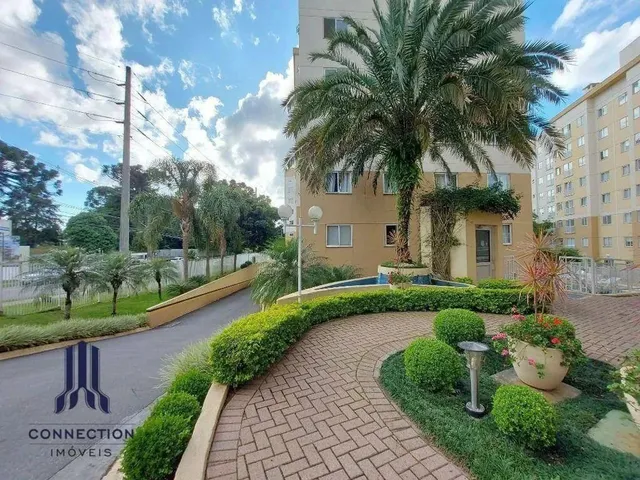 Imagem 8: Apartamento com 2 Dormitórios para Alugar, 56 M² por R$ 3.168,37/Mês - Mossunguê