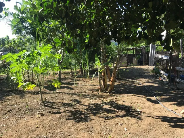 Imagem 5: Aluguel de Chácara com Casa Mobiliada Parque Residencial Nova Almeida
