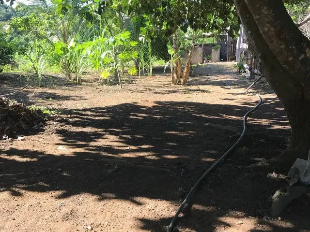 Imagem 7: Aluguel de Chácara com Casa Mobiliada Parque Residencial Nova Almeida