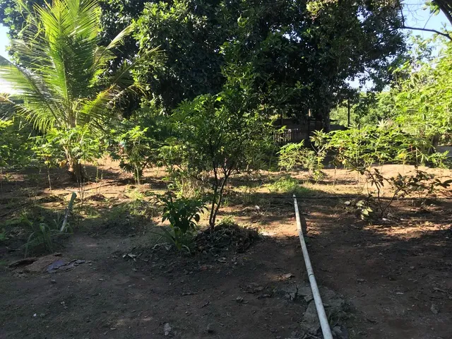 Imagem 10: Aluguel de Chácara com Casa Mobiliada Parque Residencial Nova Almeida