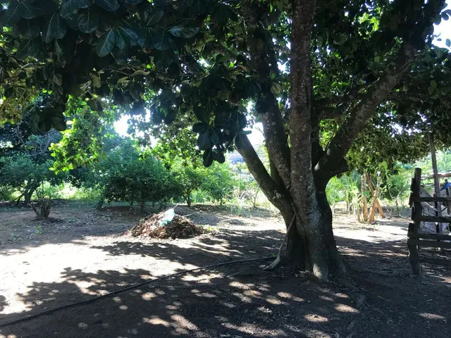 Imagem 12: Aluguel de Chácara com Casa Mobiliada Parque Residencial Nova Almeida