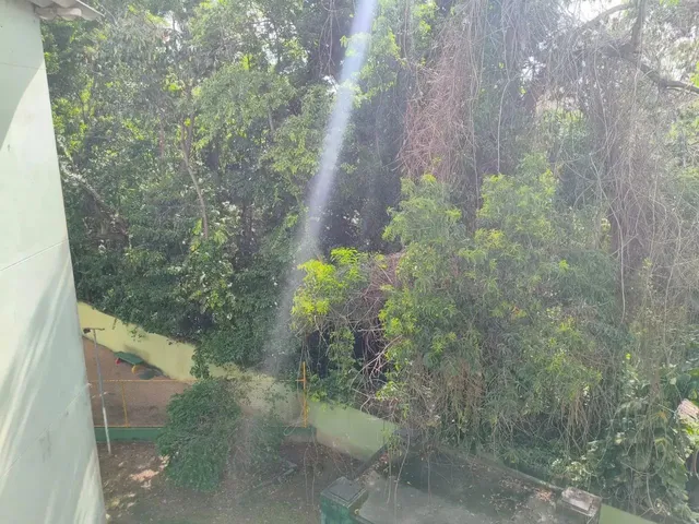 Imagem 4: Aluguel de Apartamento 45M2 2 Quartos 1 Vaga em Morada de Laranjeiras Otima Localizaçao