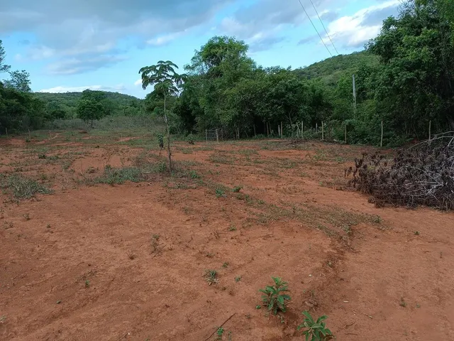 Imagem: Vendo Chácara de 1500 Metros Toda Cercada