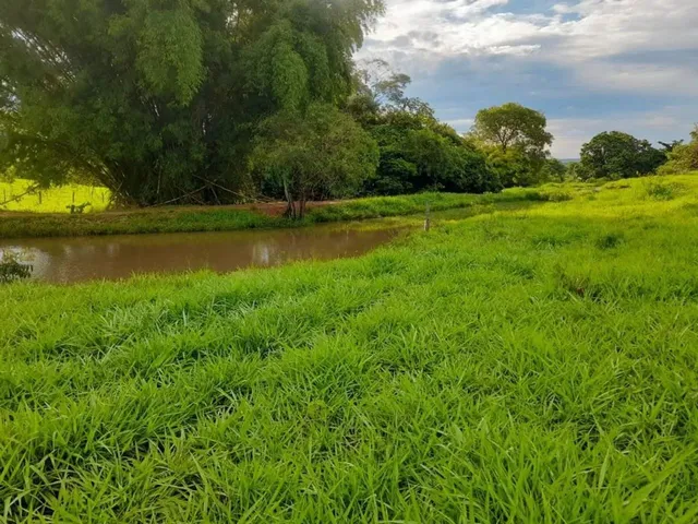 Imagem: Chácaras de 20Mil Mt em Maripotaba Última