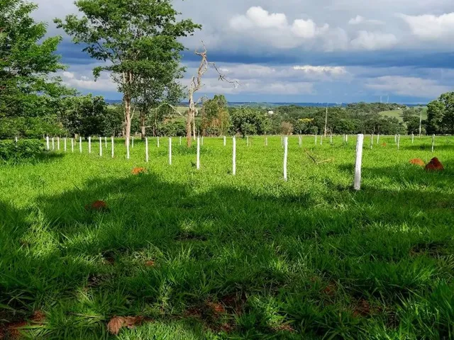 Imagem: Chácara À 32 Km de Goiânia - em Bonfinópolis-Go