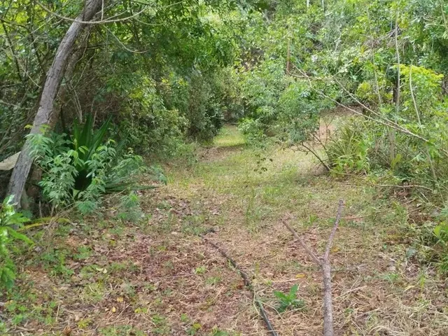 Imagem: Vende Se Chácara em Bela Vista de Goiás