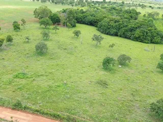 Imagem: Chácara de 20 Mil Metros a 55 Km de Goiânia