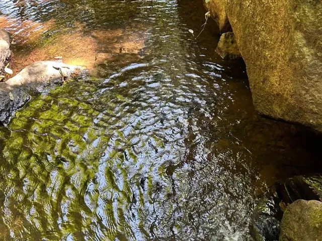 Imagem: Chácara com Piscina Escriturada