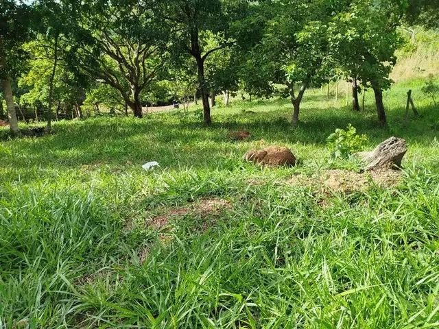 Imagem: Chácara em Bonfinópolis