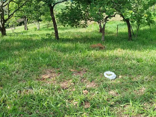Imagem 6: Chácara em Bonfinópolis