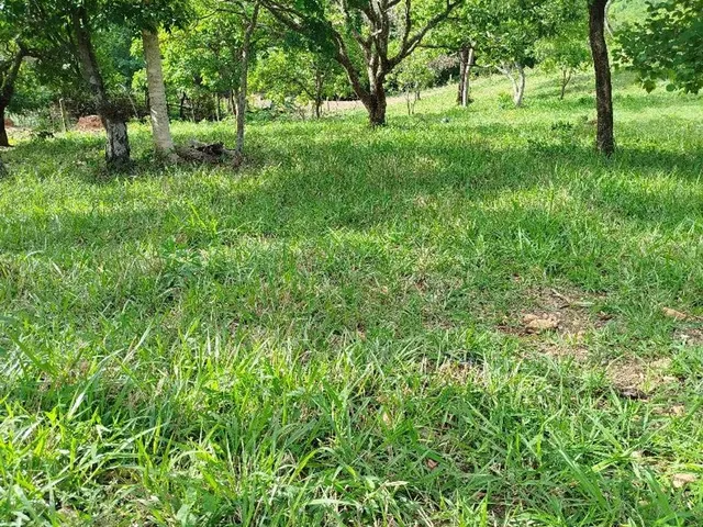 Imagem 7: Chácara em Bonfinópolis