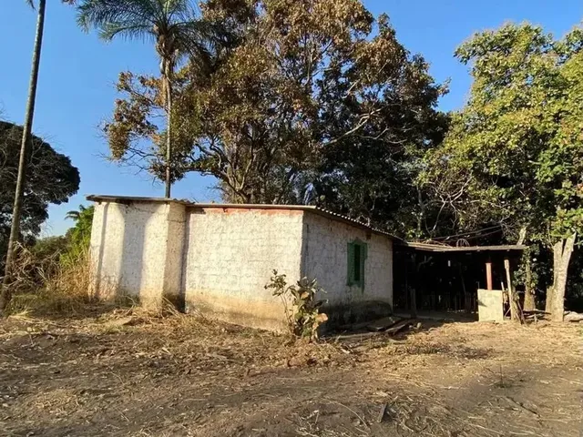 Imagem: Chácara a Venda 5.800 M2 / Árvores Frutiferas