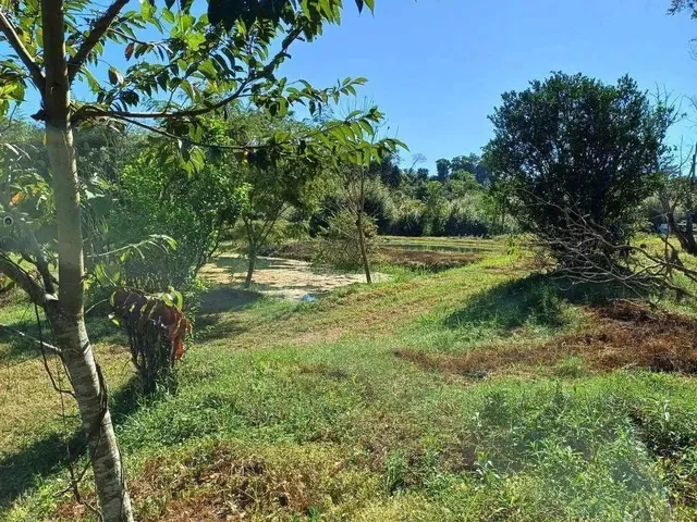Imagem 14: Chácara À Venda, Zona Rural, Nova Veneza, Go