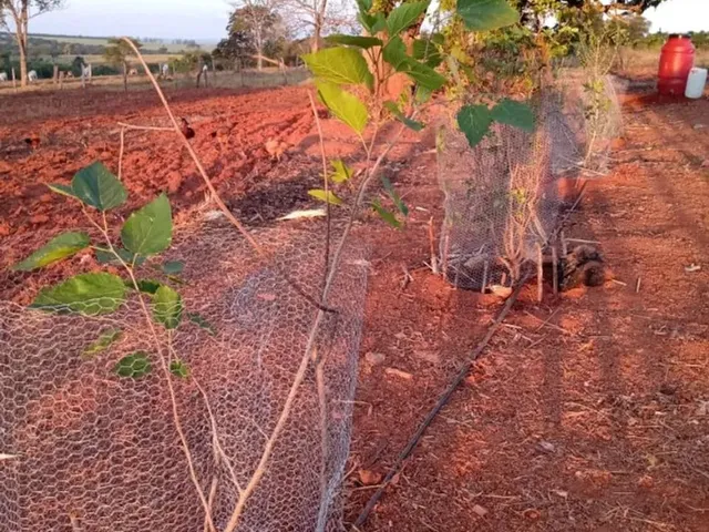 Imagem 5: Chacara Hidrolândia