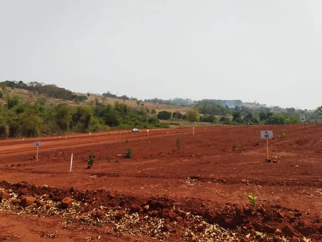Imagem 7: Vendo Ágio Lote Nova Veneza - Goiás