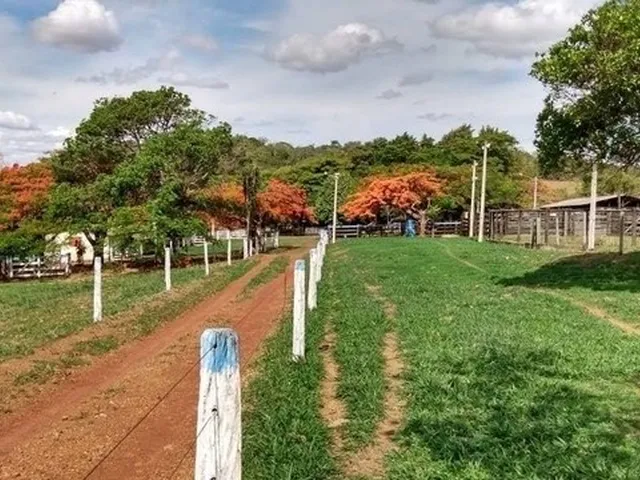 Imagem: Chácara de 09 Alqueires em Goianápolis-Go
