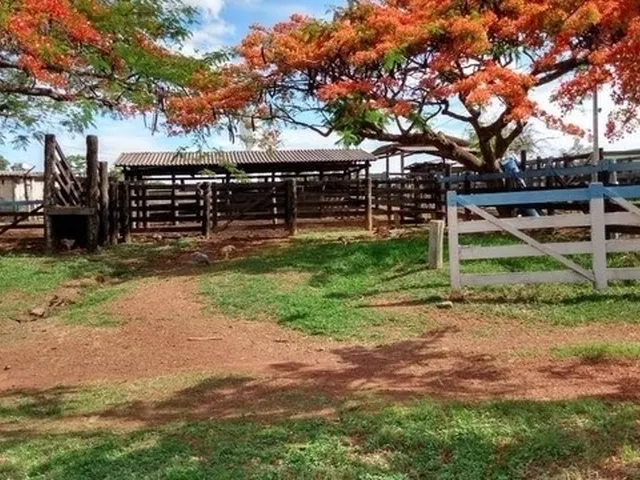 Imagem 3: Chácara de 09 Alqueires em Goianápolis-Go