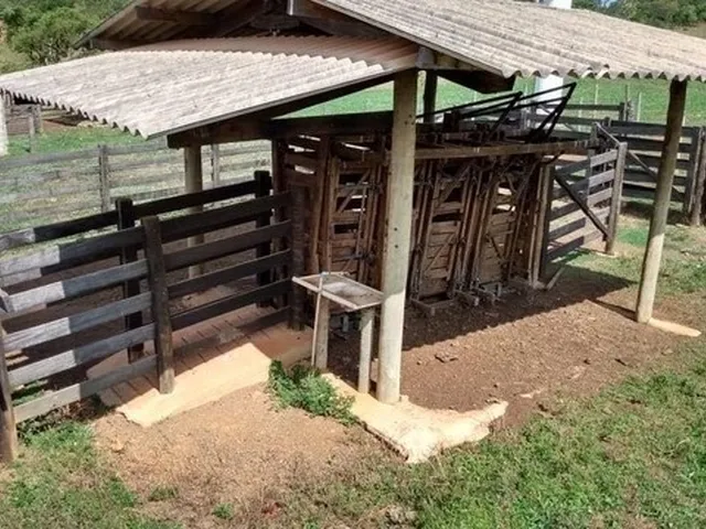 Imagem 8: Chácara de 09 Alqueires em Goianápolis-Go