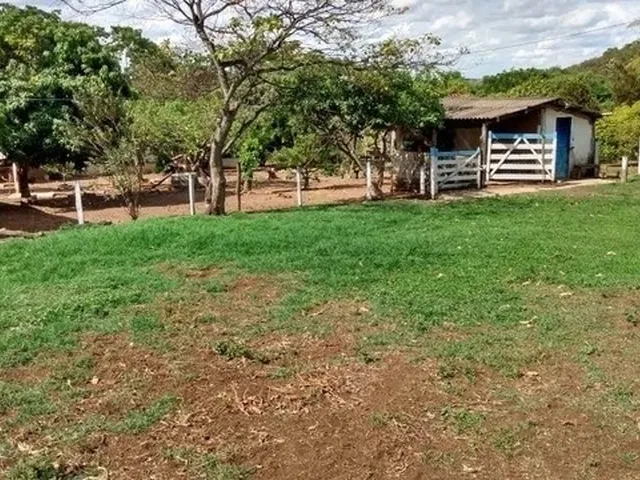 Imagem 2: Chácara de 09 Alqueires em Goianápolis-Go