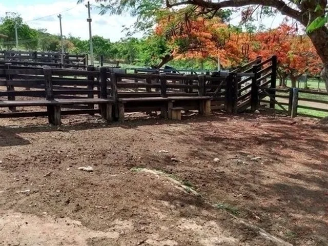 Imagem 6: Chácara de 09 Alqueires em Goianápolis-Go