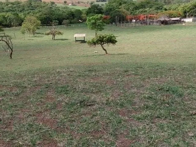 Imagem 7: Chácara de 09 Alqueires em Goianápolis-Go
