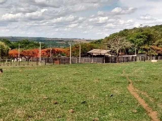 Imagem 11: Chácara de 09 Alqueires em Goianápolis-Go